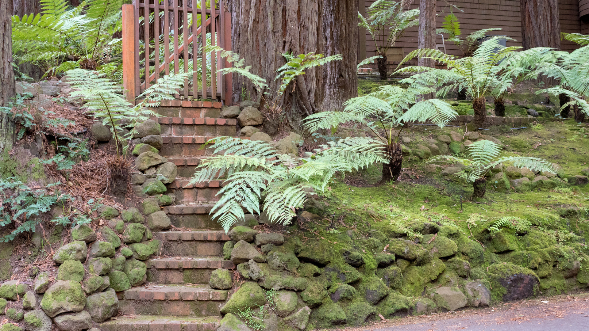 20 Ways To Make A Sloped Yard Functional And Beautiful