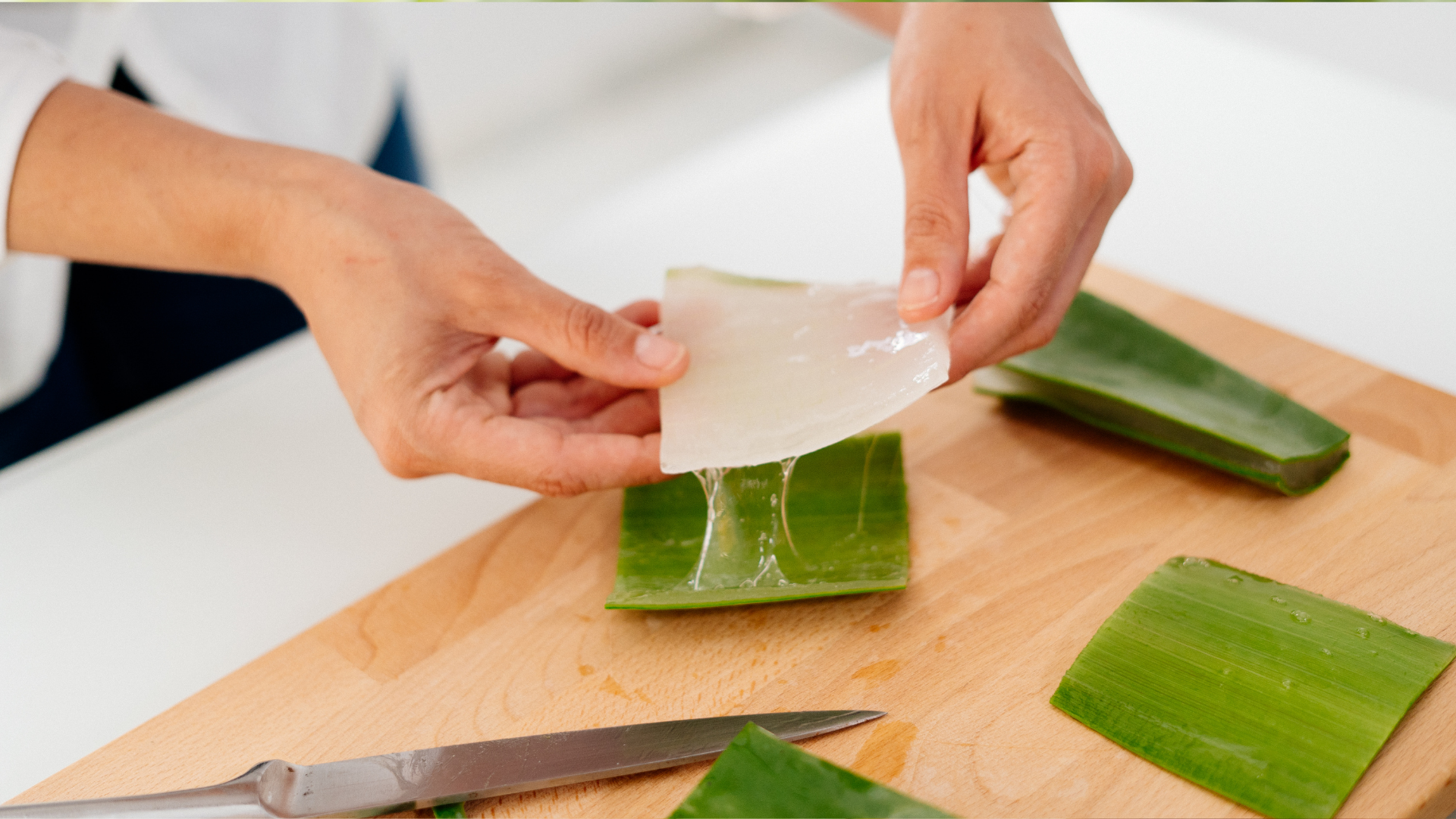 25 Reasons To Keep Aloe Vera Skins Instead Of Tossing Them