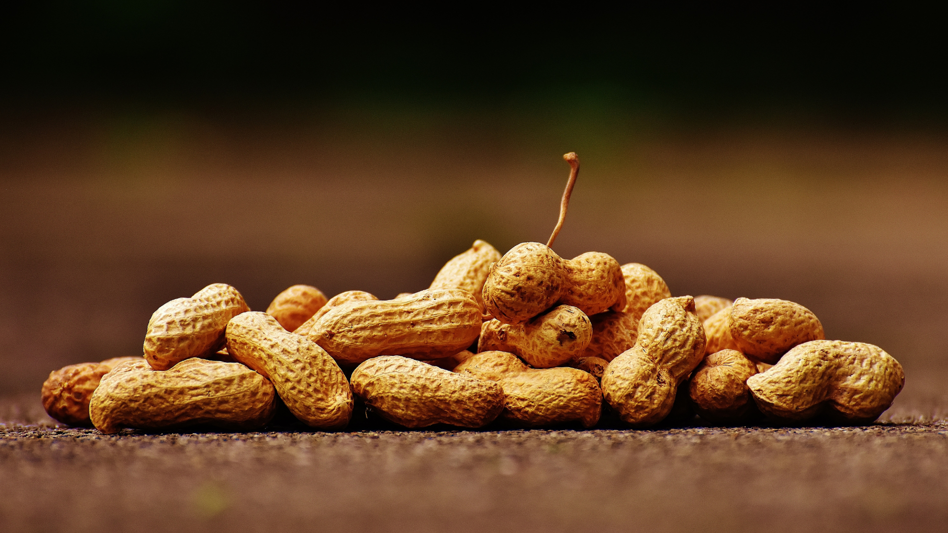 Smart Uses For Peanut Shells In Your Yard