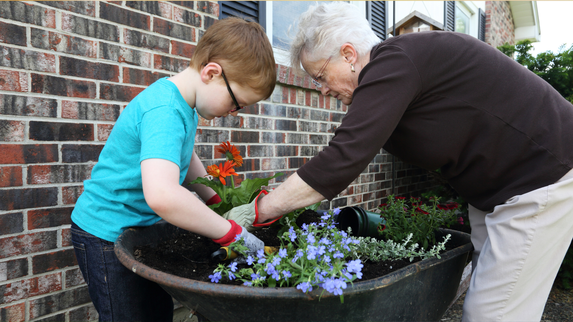 29 Gardening Tips From Grandma That Still Work Wonders Today