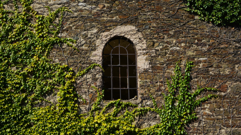 15 Invasive Plants You Should Never Add to Your Garden According to Ecologists (And 10 Alternatives)