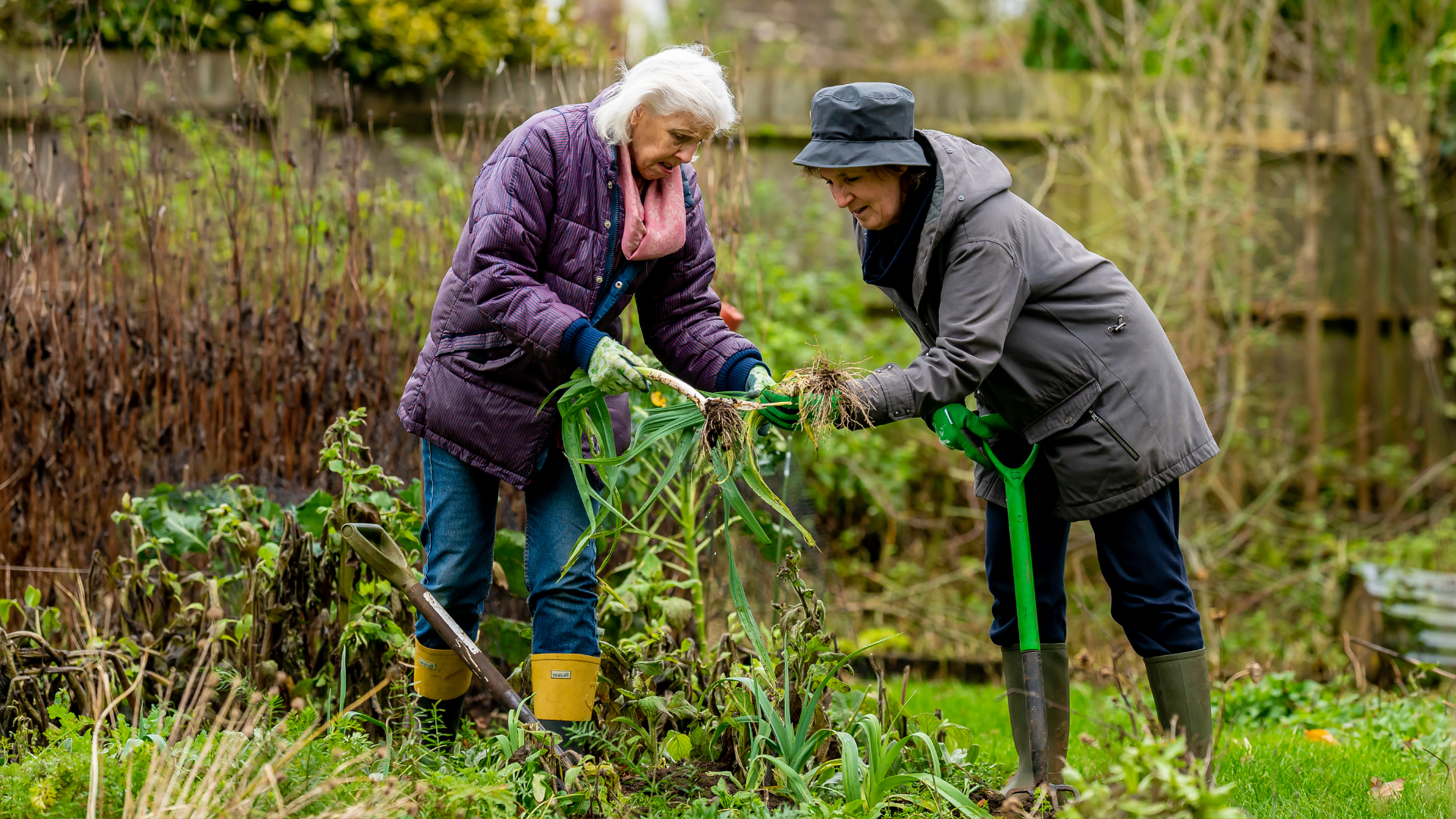 28 Weeding Mistakes Experts Say Make Gardening Much Harder