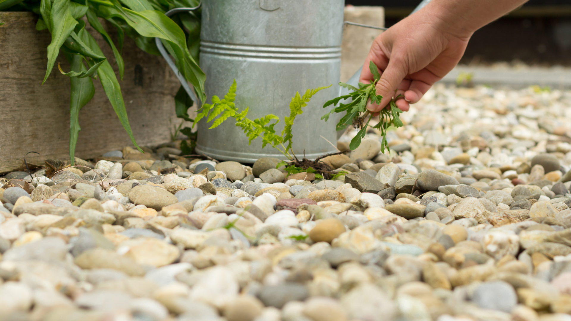 Keep Your Gravel Areas Weed-Free With 20 Simple Tips & Tricks