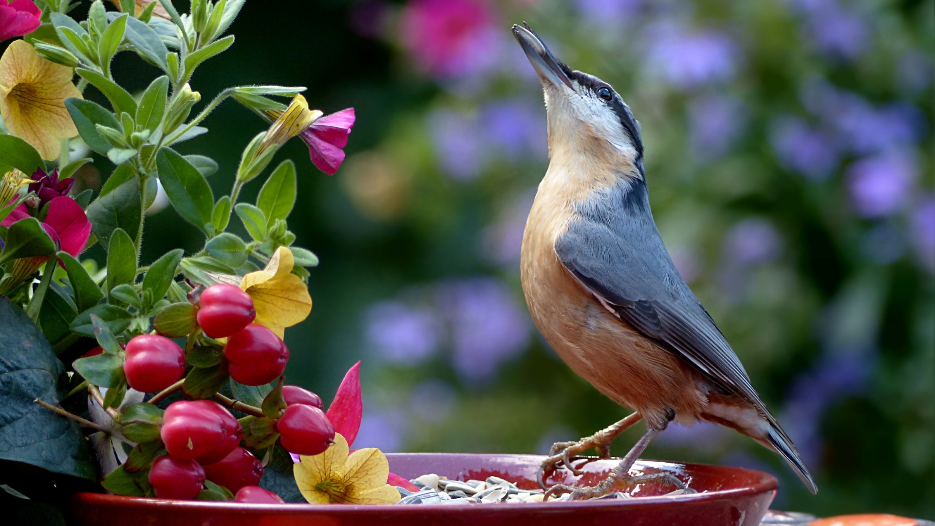 bird in a wildlife garden