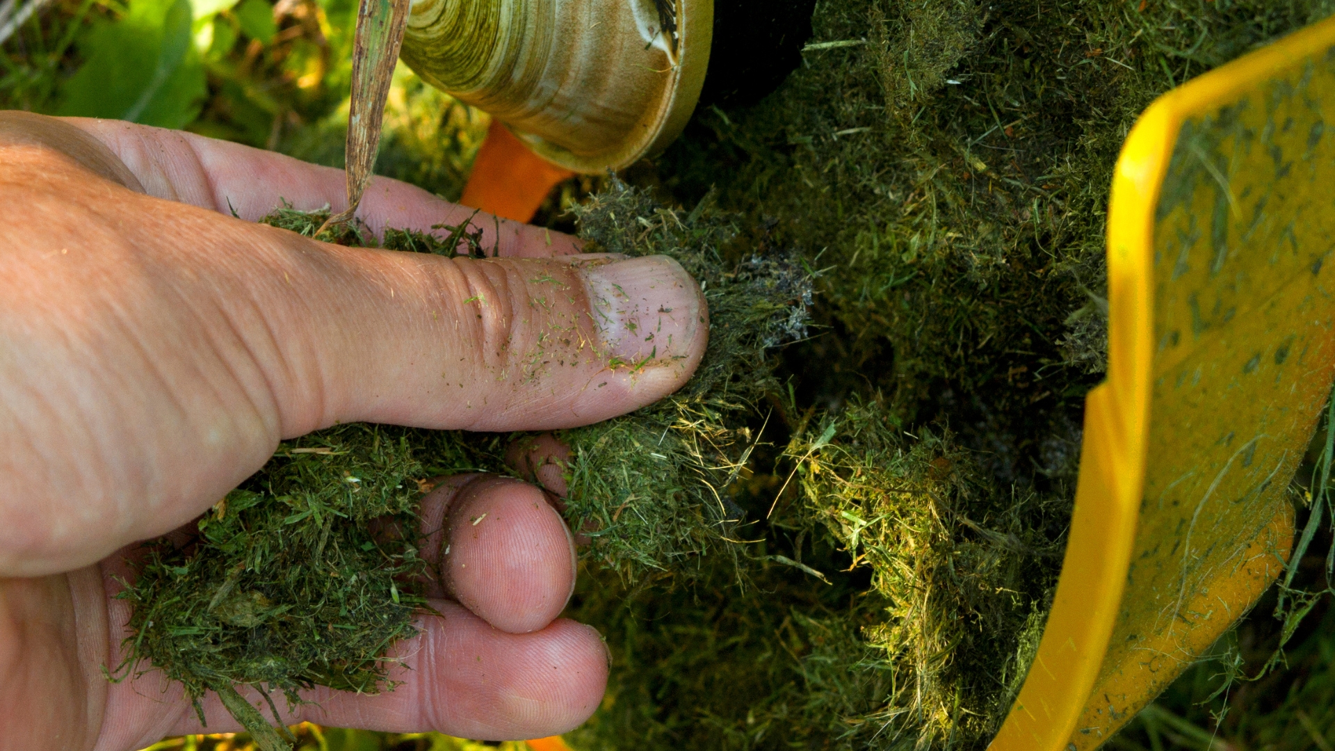 cleaning a lawn mower