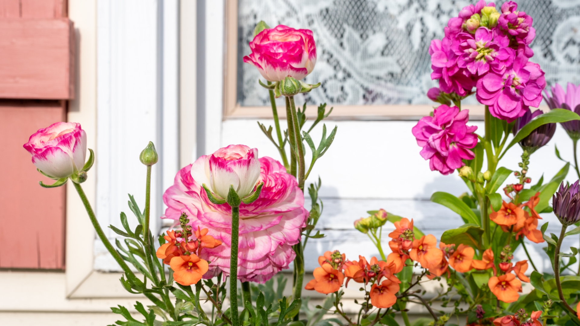 flower arrangement in a window box