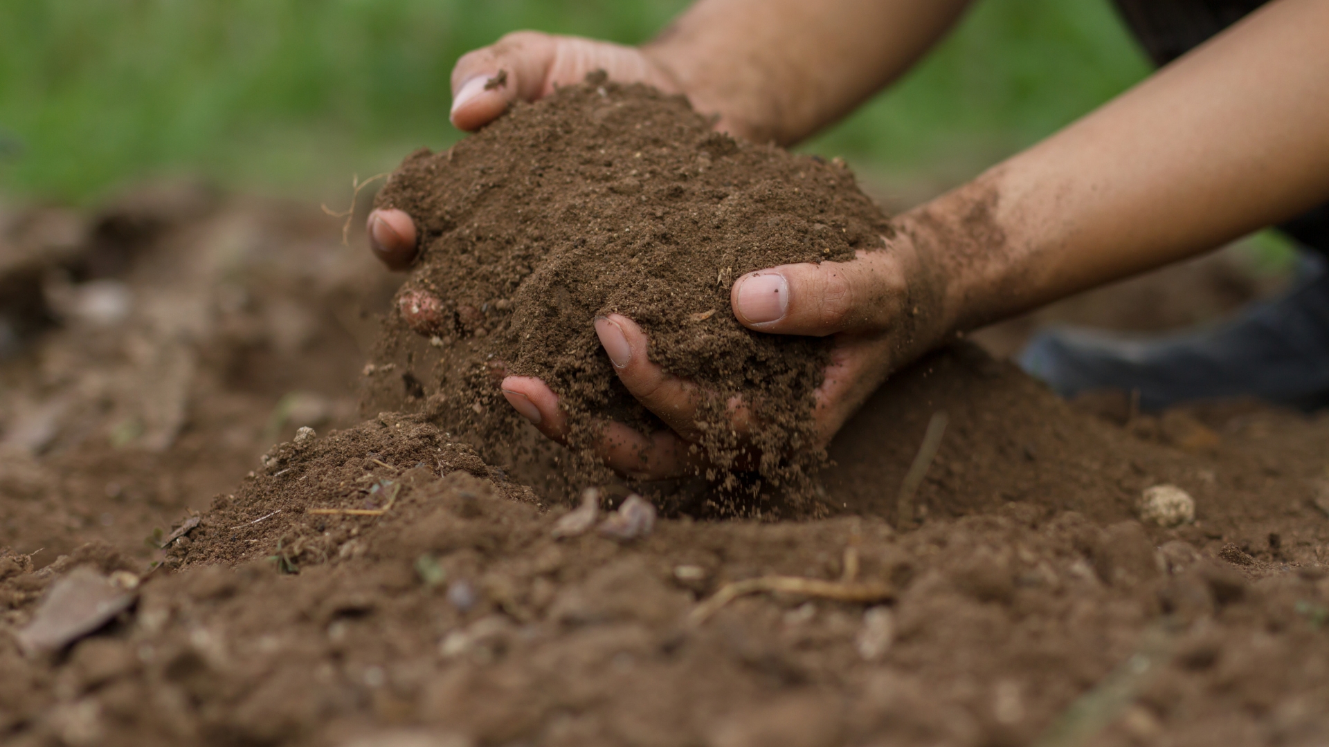 garden soil