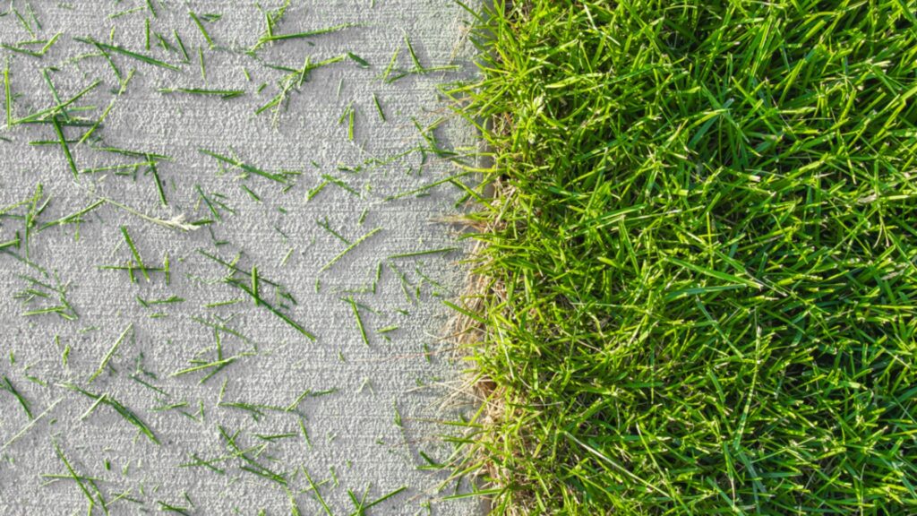 grass clippings