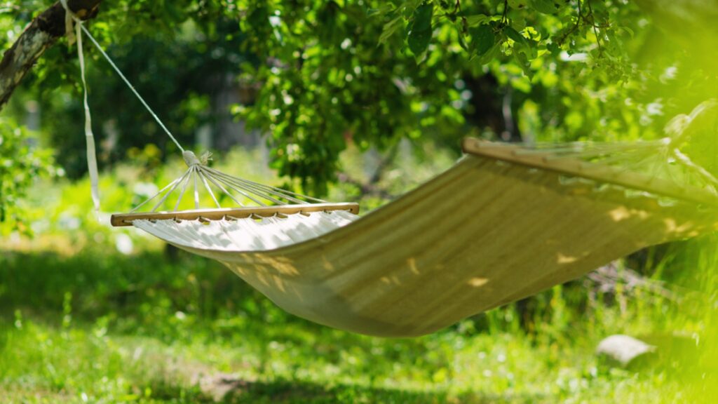 hammock in backyard