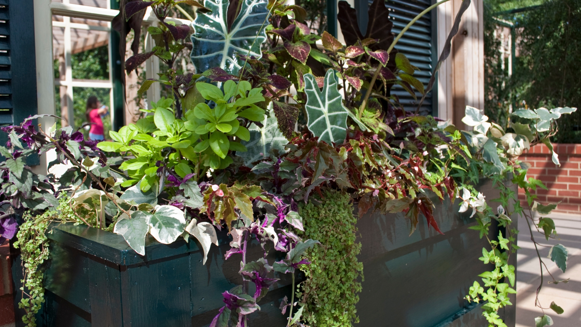 large planter filled with different plant species