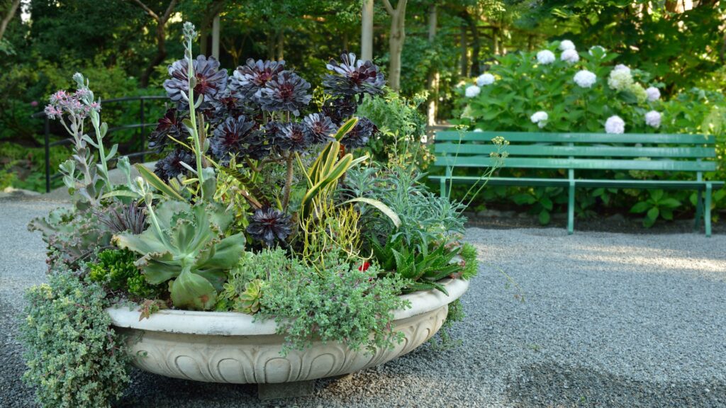 planter in a park