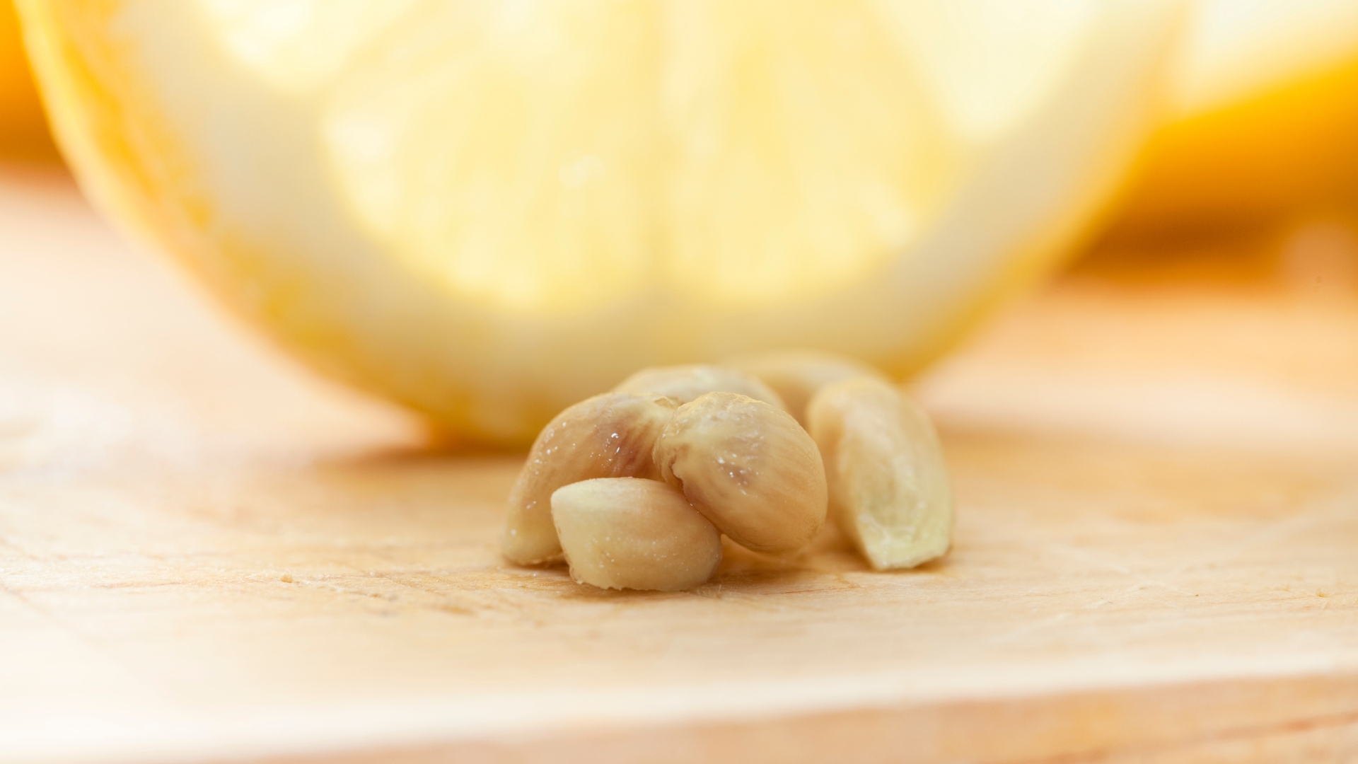 lemon seeds next to a lemon slice