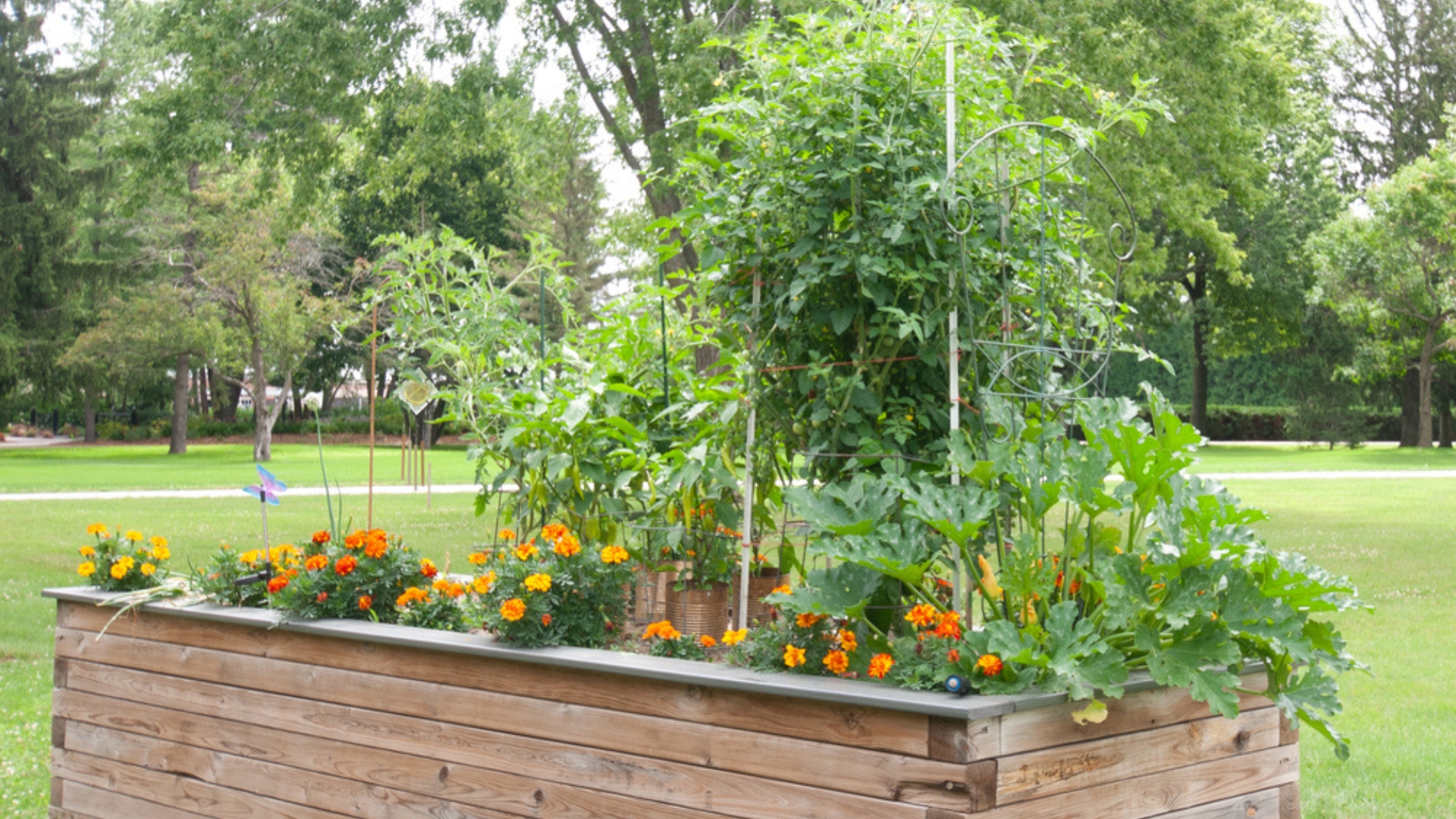 raised bed