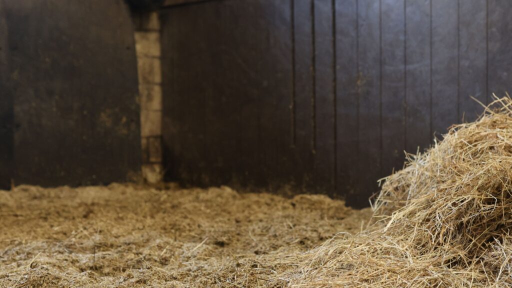 old hay
