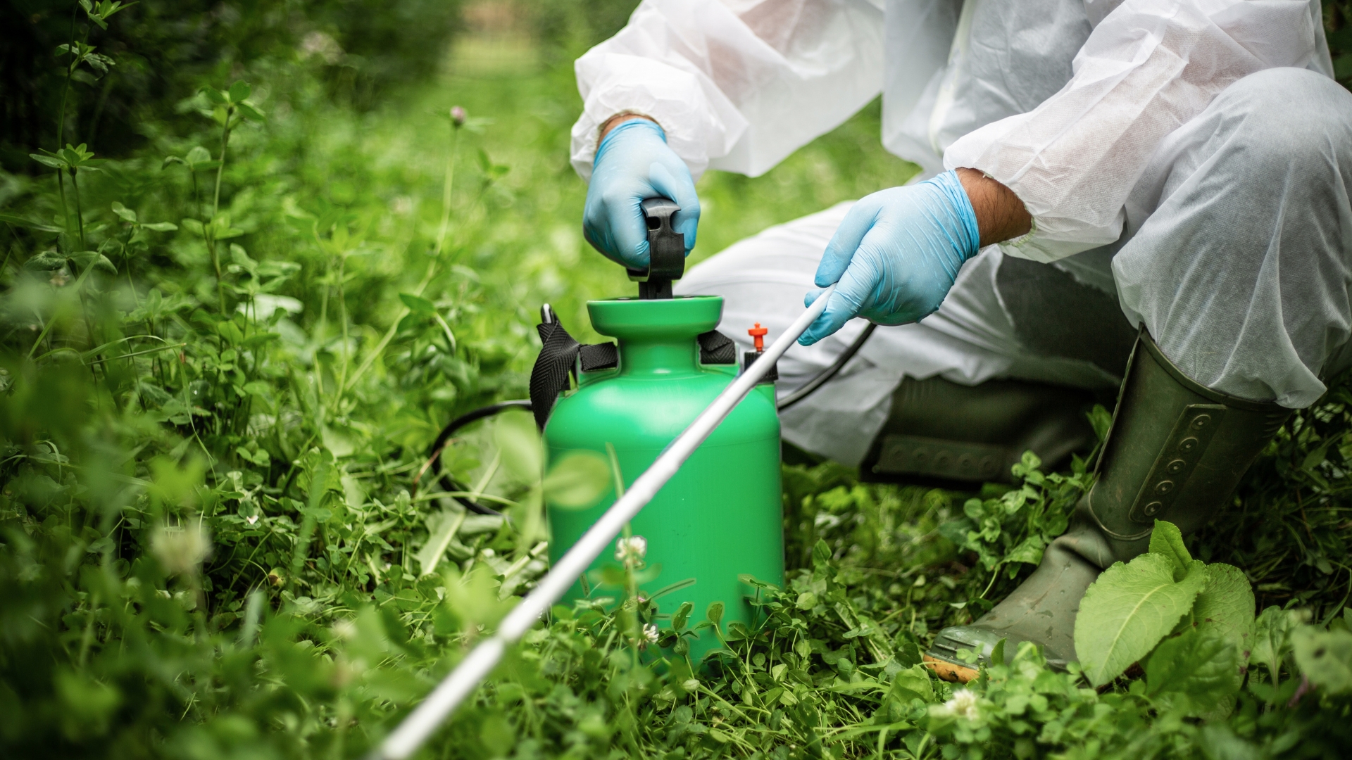 a gardener and a pesticide sprayer