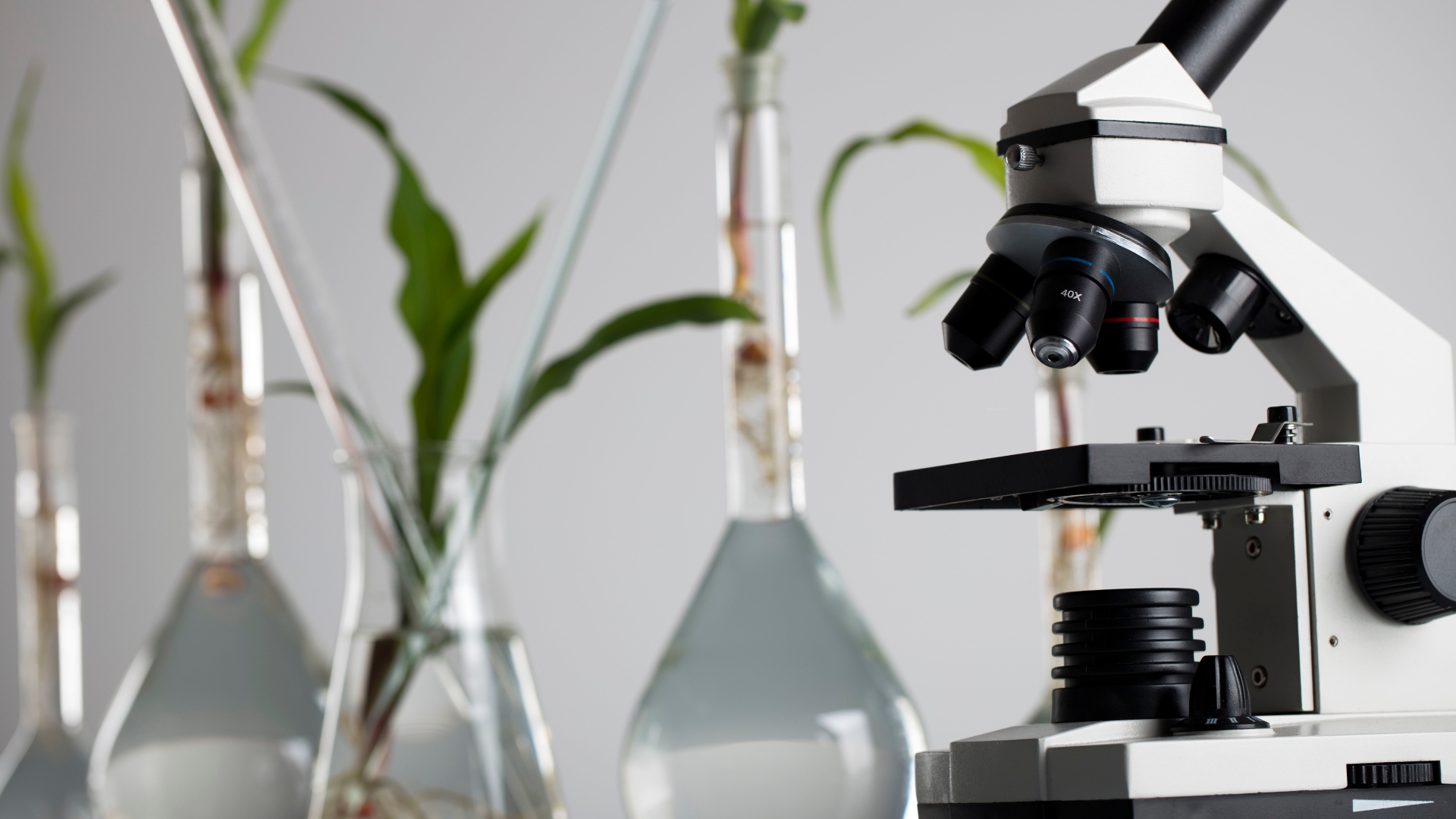 plant lab microscope