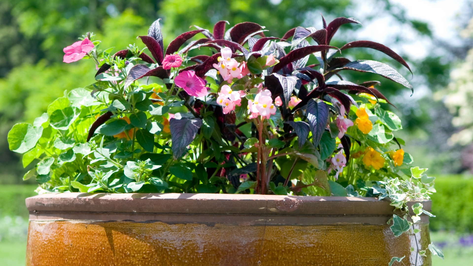 planter with bloom display