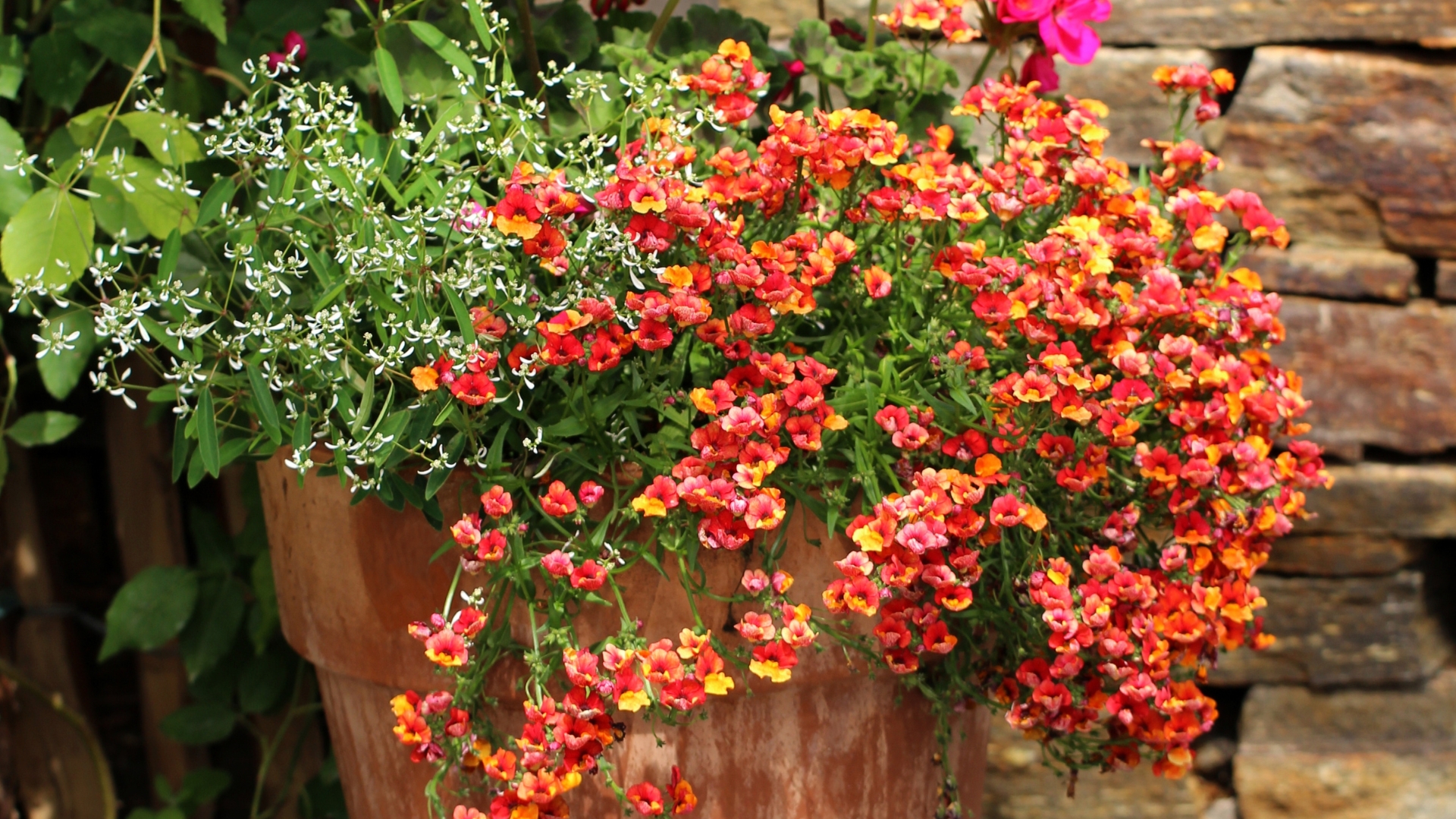 flower display in a planter