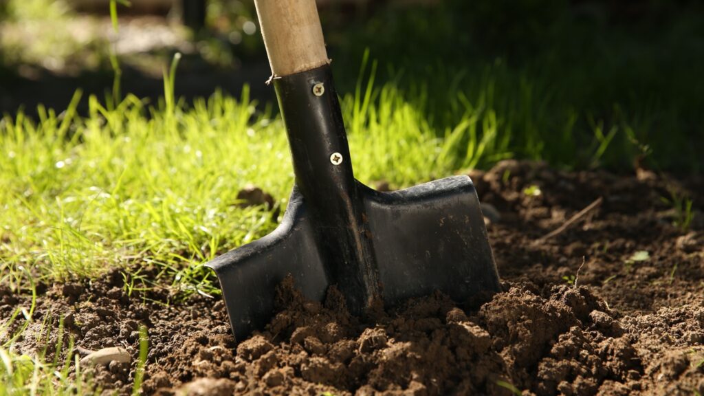 preparing soil with a shovel for grass seeding
