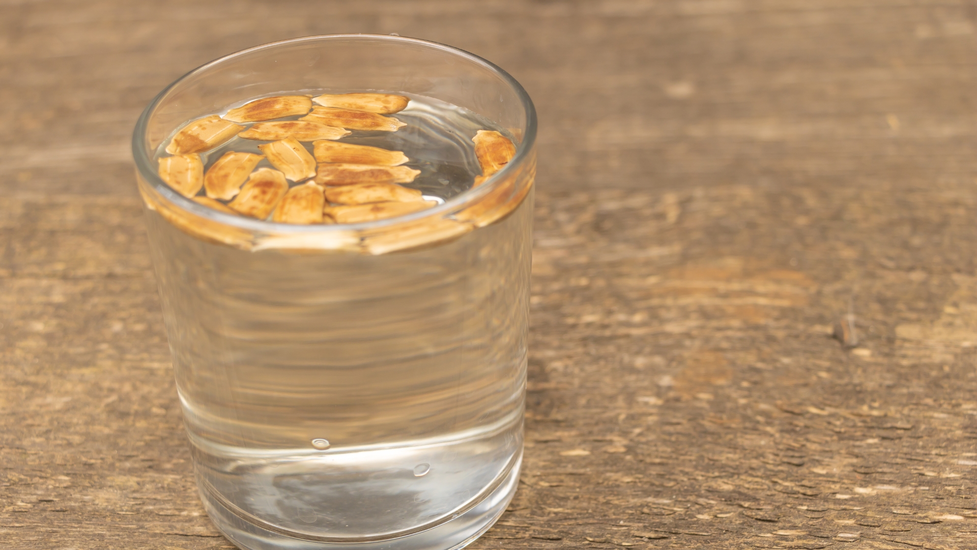 soaking seeds in water