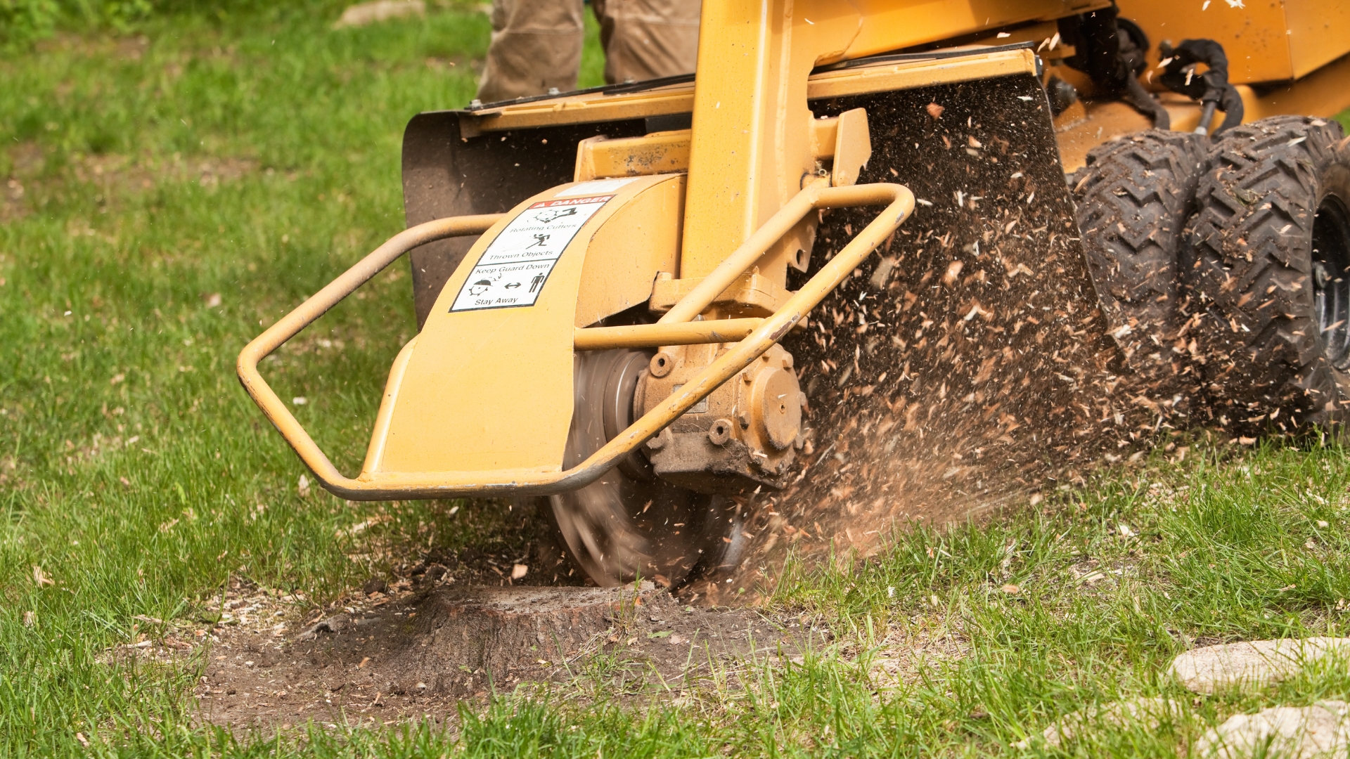 tree stump removal