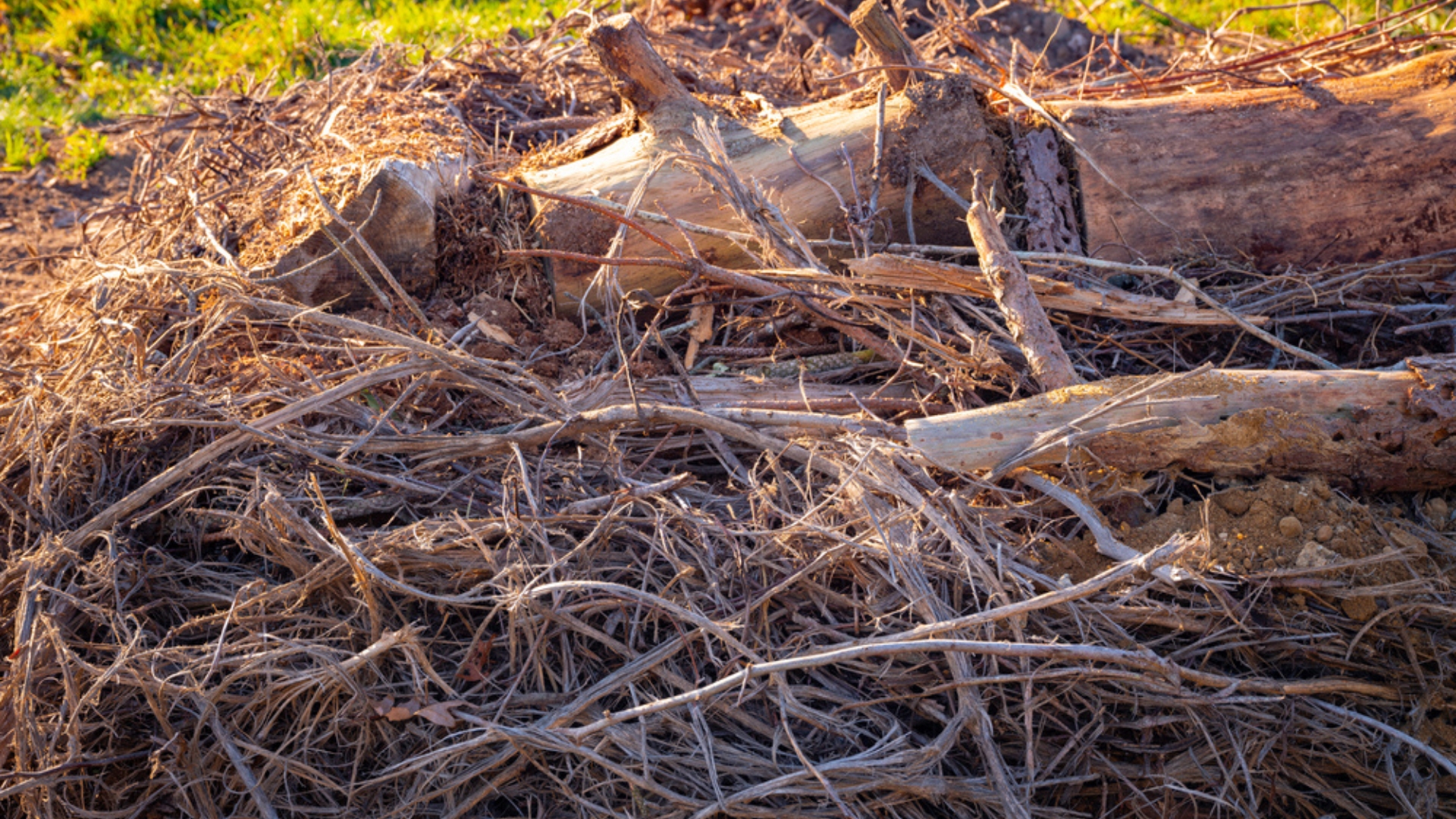 tree trimming pile as a raised bed foundation