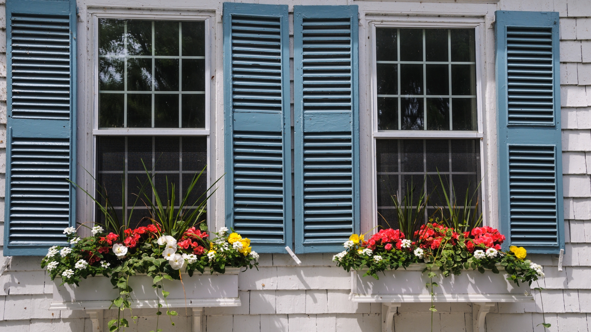 window box flower display