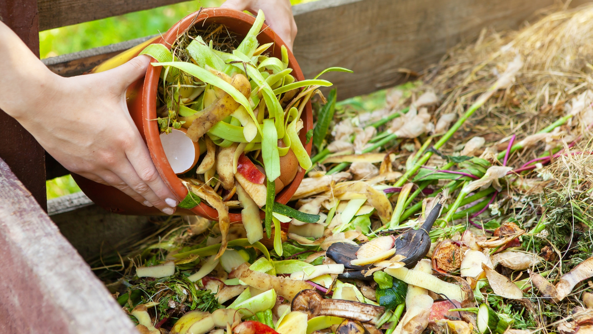 woman tossing a bucket of kitchen scraps on a compost pile