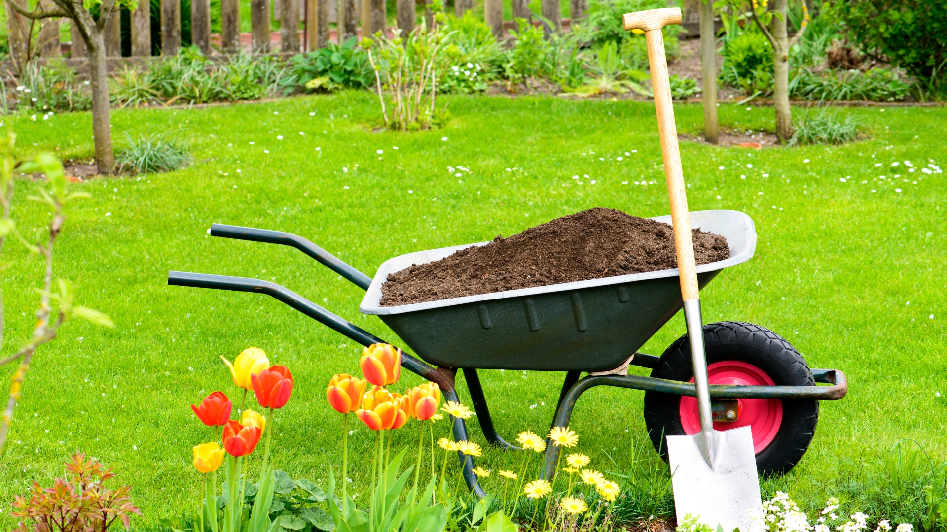 10 Materials You Can Use To Top-Dress Your Lawn (And Which Is Best For Your Climate)