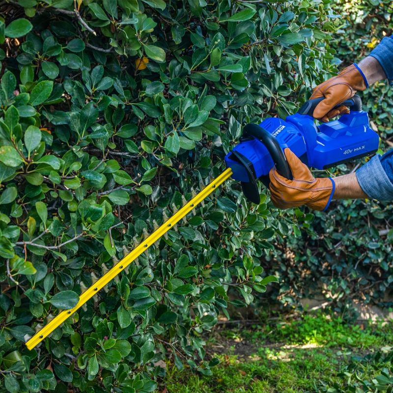 Expensive Electric Hedge Trimmers