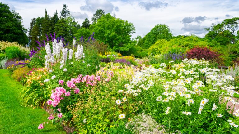 Perennials and annuals flower garden