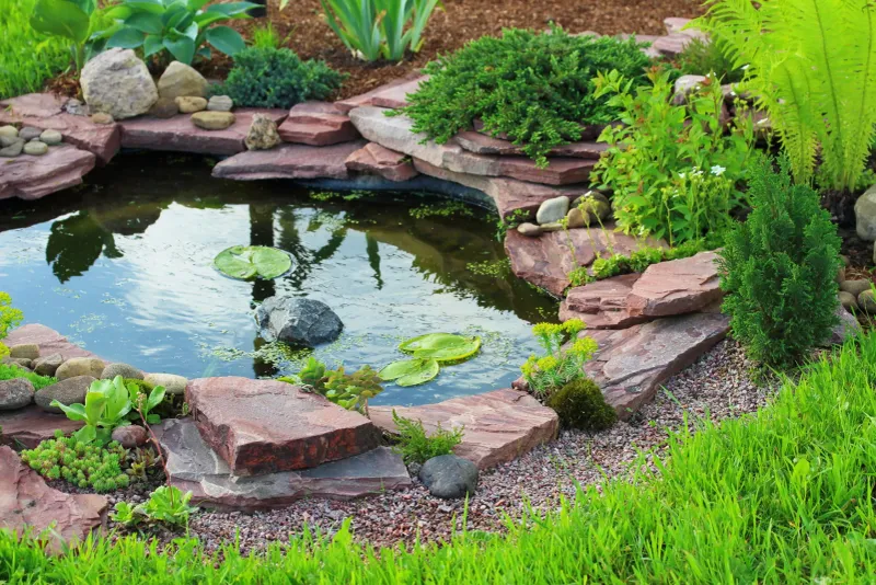 Create a Pond or Water Feature