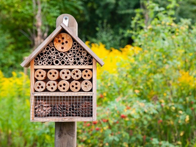 Provide Bee Houses