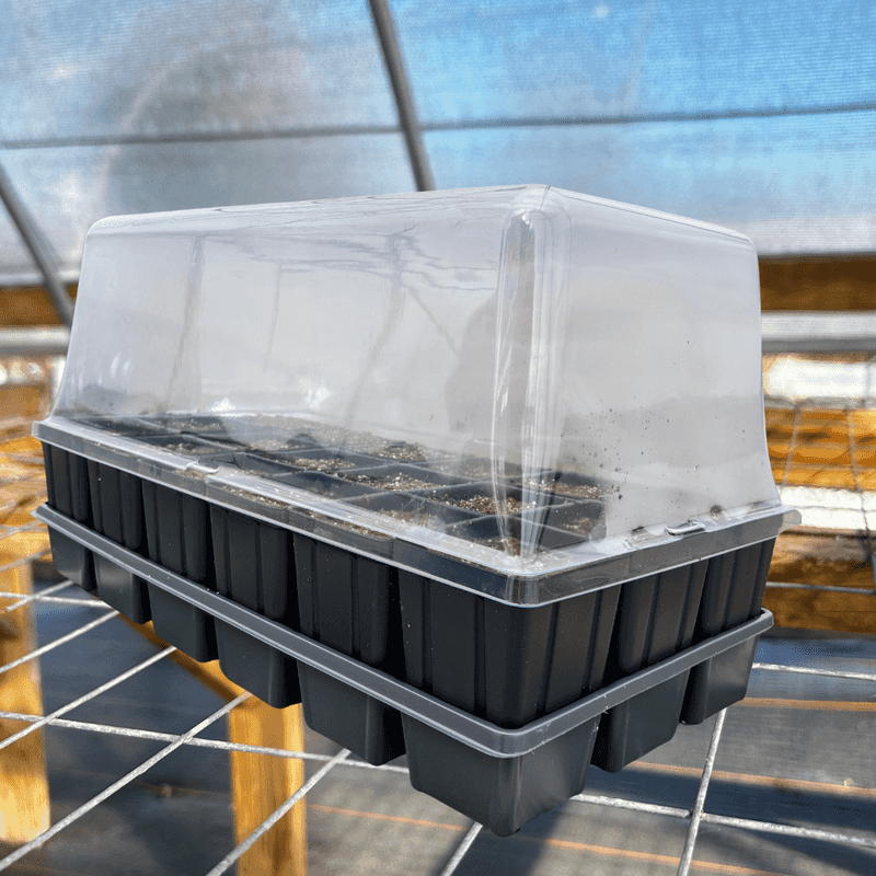 What Is A Humidity Dome Seed Propagator?