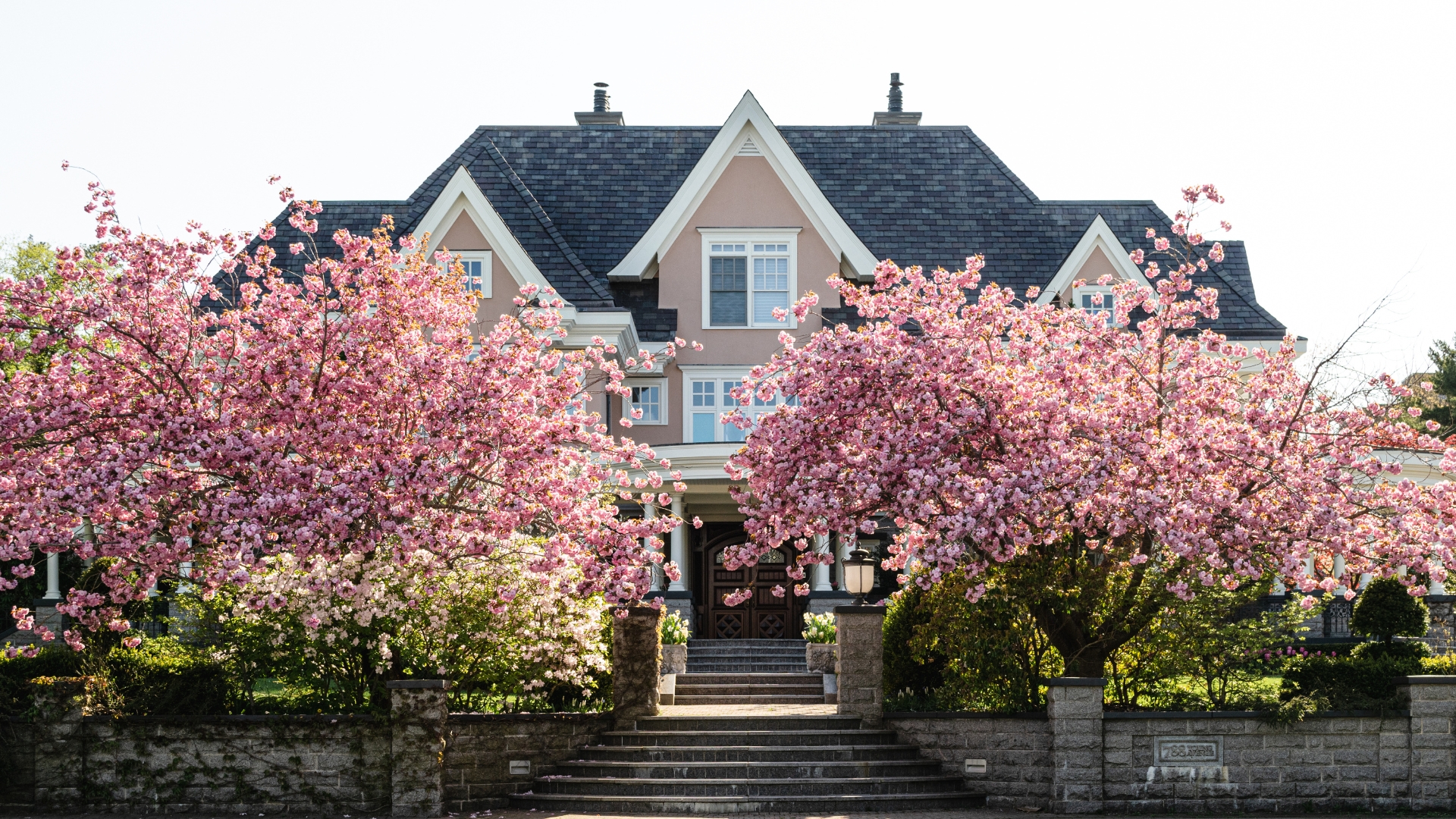 trees in bloom in front