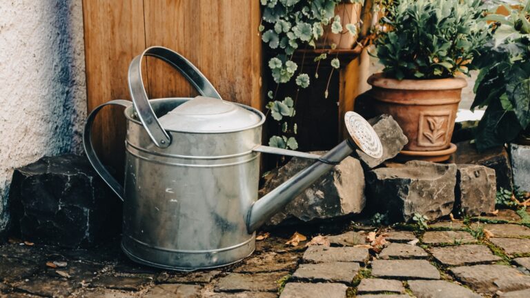 watering can
