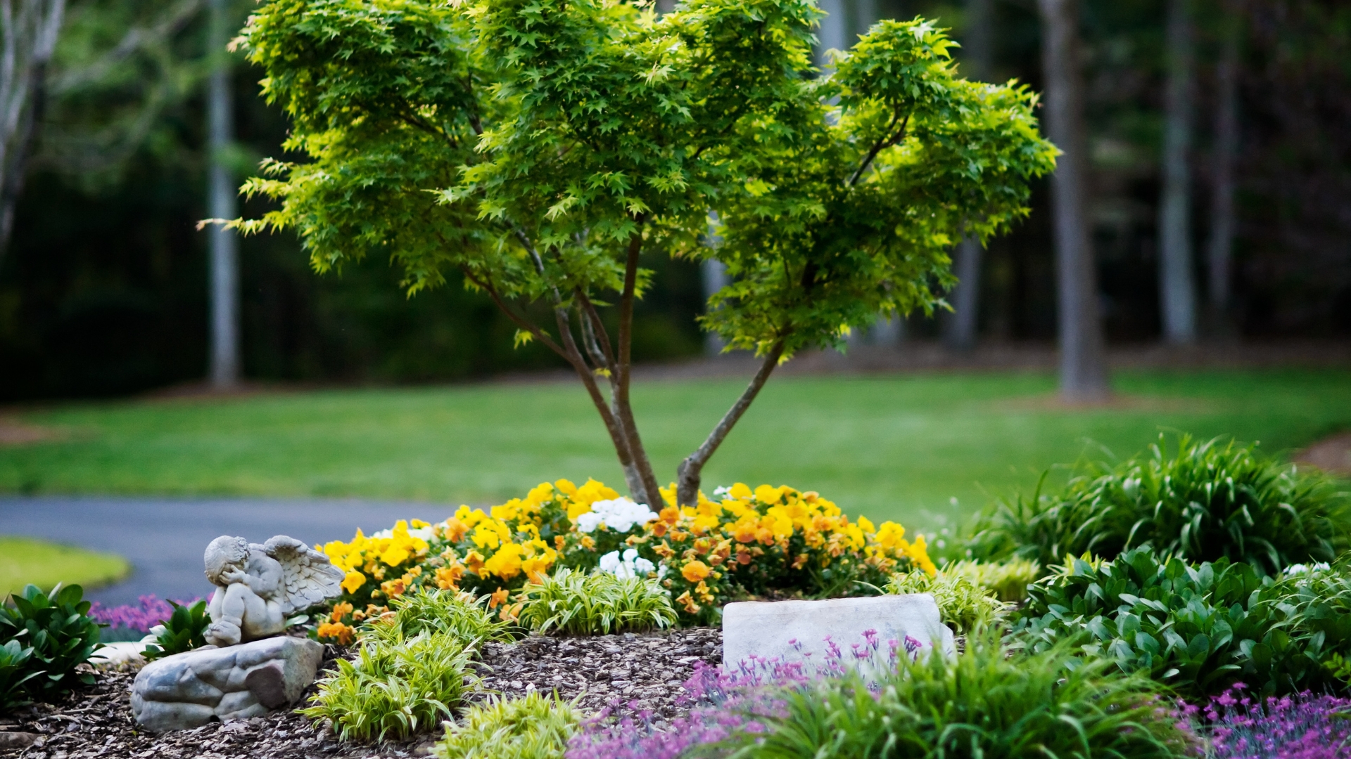 15 Groundcovers That Turn Tree Shade Into A Garden Haven — Plus A Few More To Complete The Look