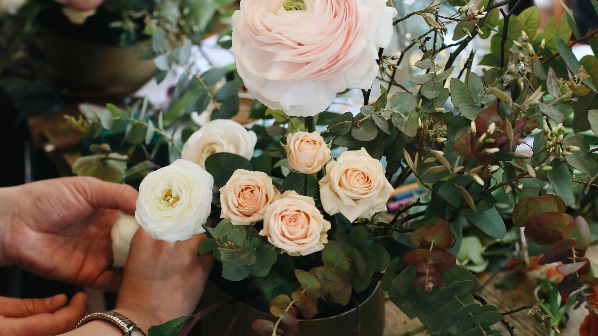 Pink Roses in Plant Pot