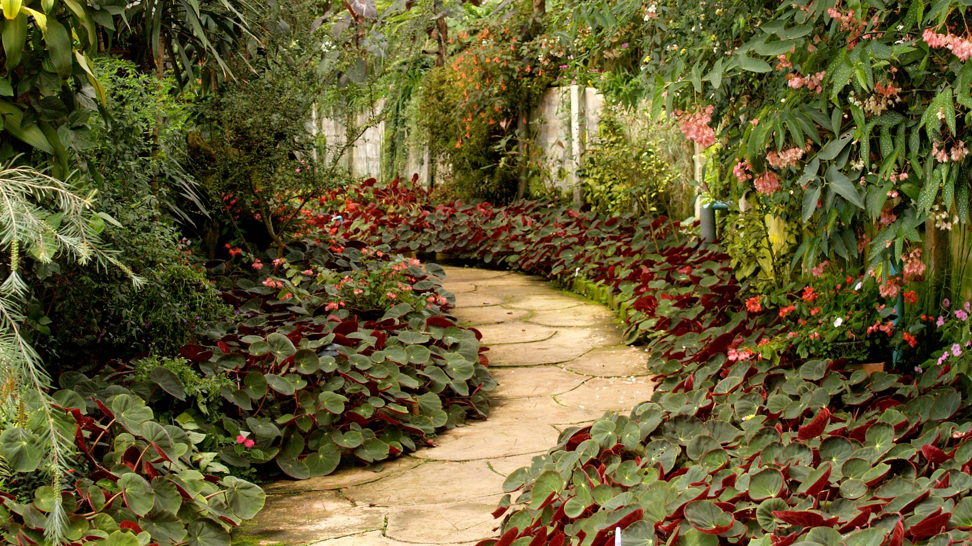 garden border