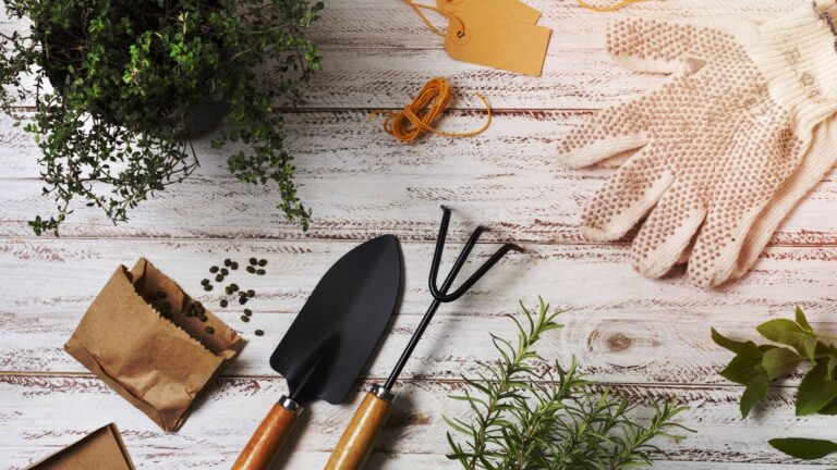 a gardening potted plant with shovel and garden gloves, next to gloves