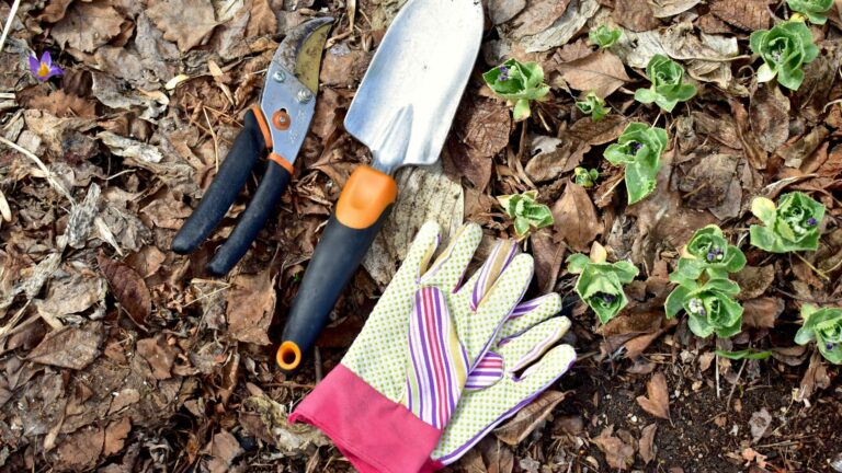 gardening tools