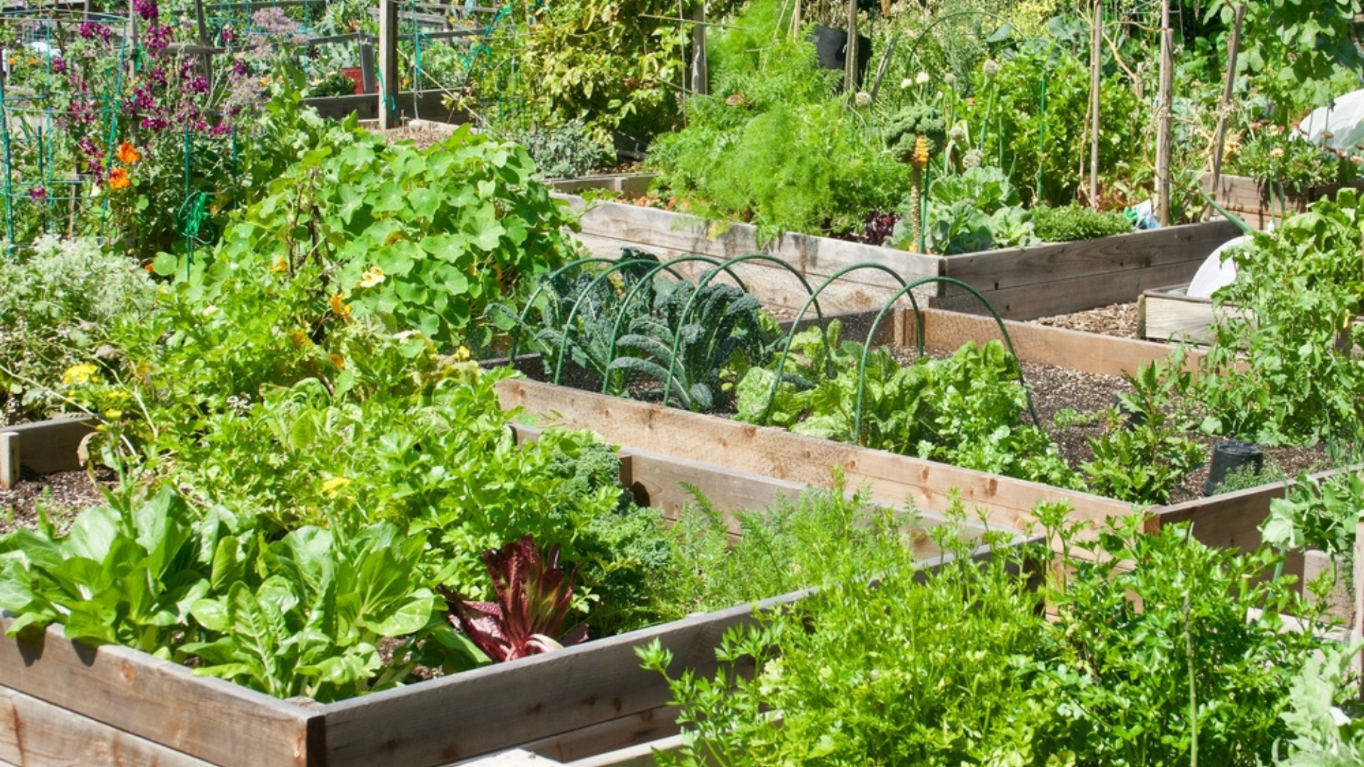 17 Things I Did To Build The Ultimate DIY Raised Garden Bed (And The Mistakes I Fixed Along The Way)