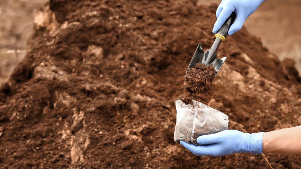 18 Things You’re Doing Wrong When Acidifying Soil (Plus What To Do Instead)