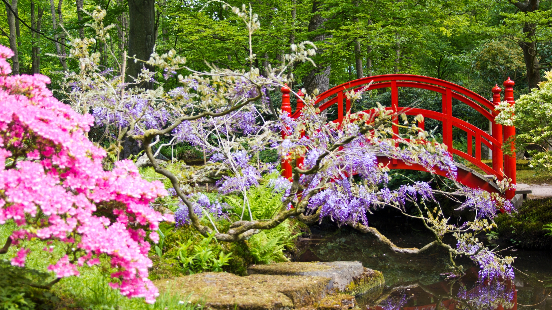 20 Best Plants For A Japanese Garden According To Expert Horticulturists (And More Serene Options)