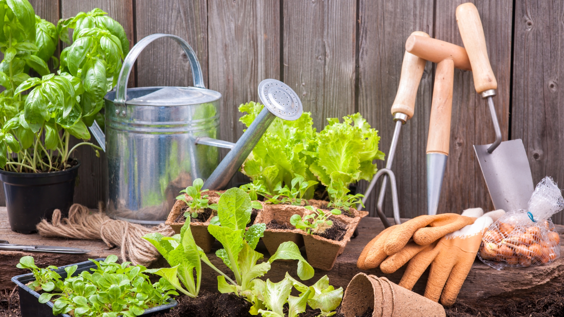 gardening