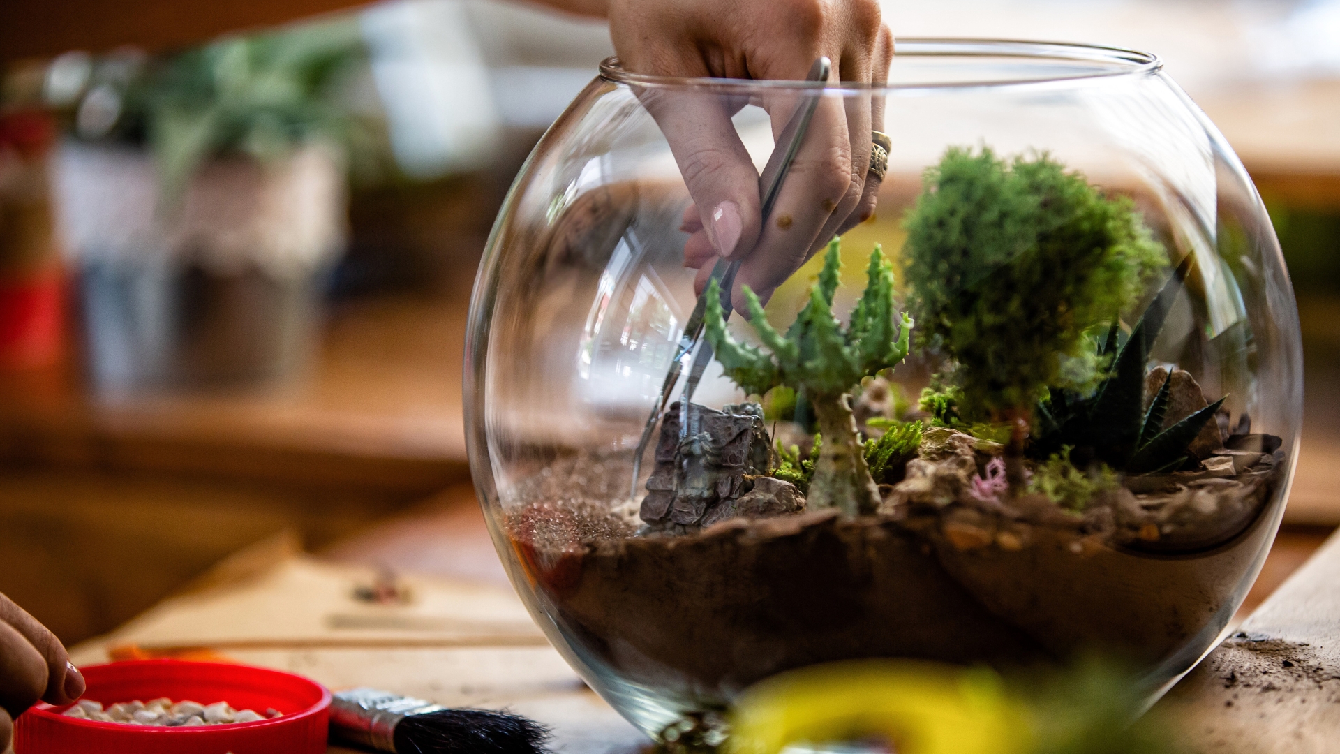 20 DIY Terrarium Hacks You’ll Wish You Knew Sooner (And More Ideas For Your Next Project)