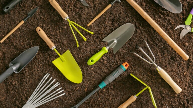 gardening items on the ground