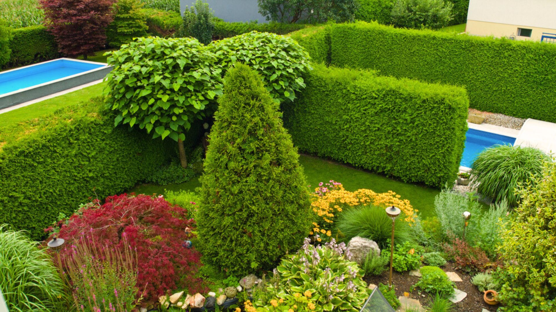 living fences in garden