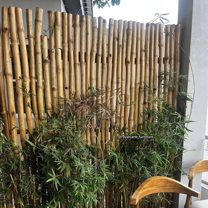 Bamboo Fencing