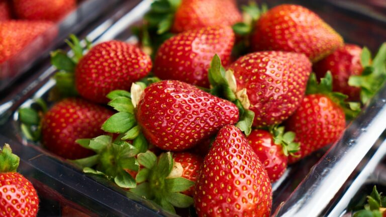 strawberries